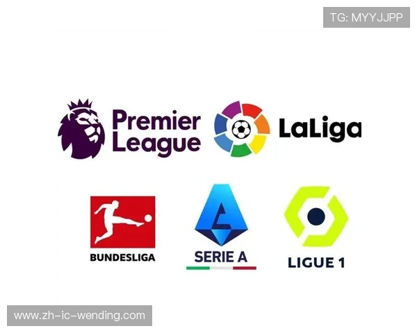 为什么德甲球队在全球范围热度不如英超?品牌影响力剖析 为什么德甲球队在全球范围热度不如英超?品牌影响力剖析