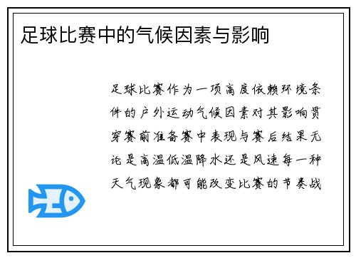 足球比赛中的气候因素与影响